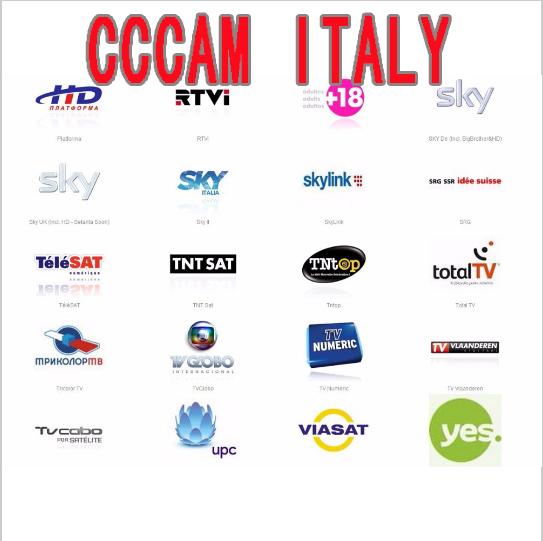 CCcam Italy cline server for 1 year Validity for Satelite Receiver Sky Italy Mediaset Premium with av cable free shipping by DHL