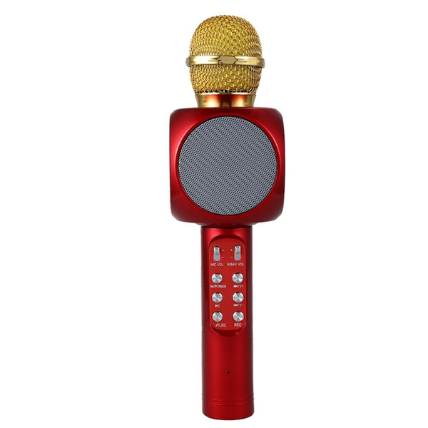 WS1816 Wireless Bluetooth KTV Karaoke Microphone Speaker USB LED Light