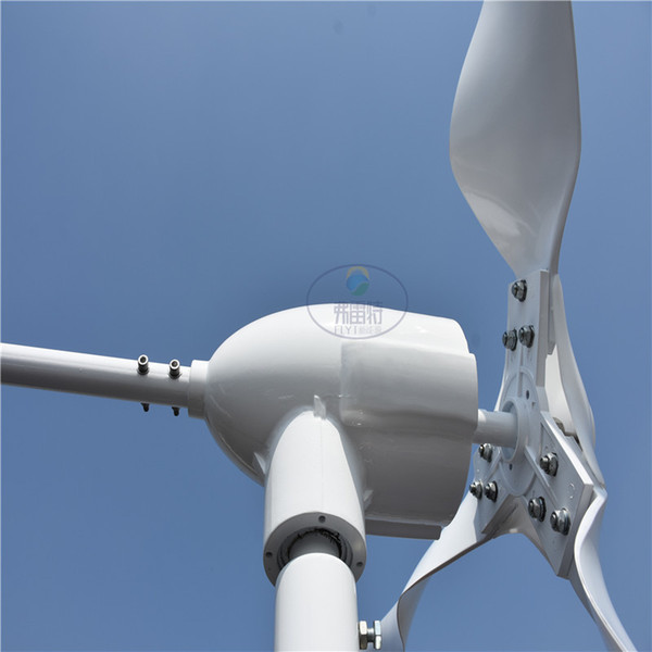 0.6kw Wind Power Generator with 12V 24V Auto MPPT Controller