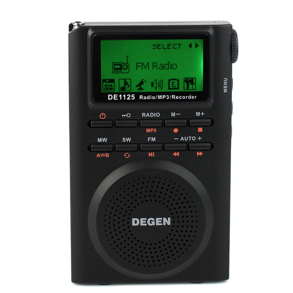 Wholesale-DEGEN DE1125 Radio FM AM MW SW Radio Multiband MP3  Digital Radio Receiver 4GB D2976A