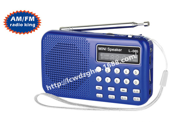 Pocket Mini Portable Digital FM Radio Speaker USB TF Card Mp3 Music Player with Light and Rechargeable Battery