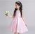 Kids Wedding Dresses Girl Party Dresses 2017 New Fashion Girl Flowers Dress Elegant Cute Childrens Belle Clothes