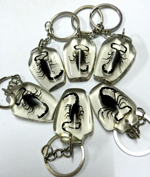 Real insect black scorpion key ring fashion lucid style keychain