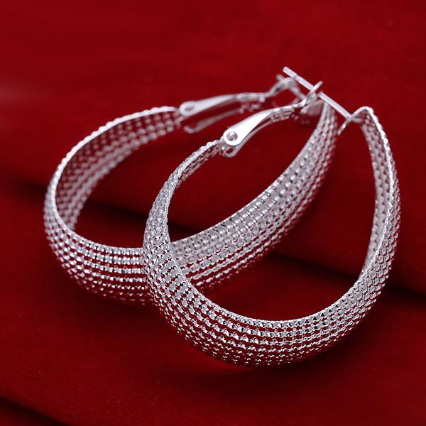 10 Piece 925 Silver Big Earring Jewelry Fashion Big Mesh Earring Jewelry For Women Wedding Gift