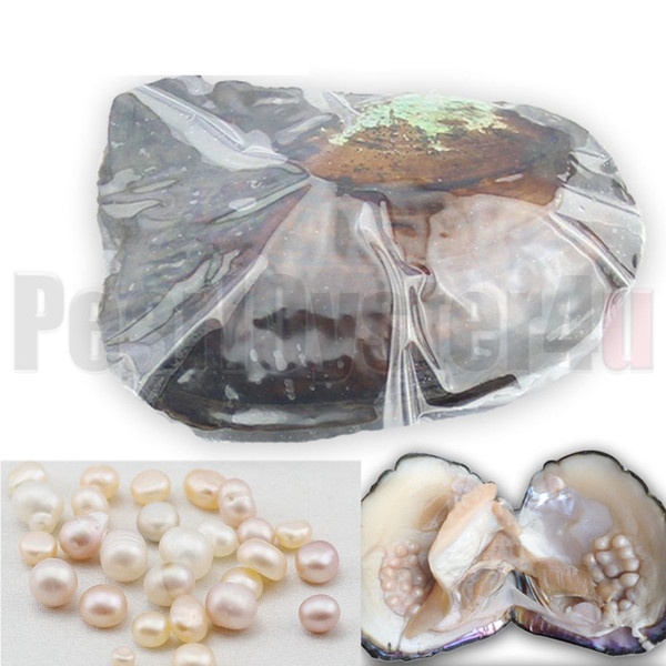 Big Wild Freshwater Oyster Monster 10 years 20-30pcs Natural Color/Shape Pearls Mussel Farm Supply Vacuum Packing 5PCS ZB002