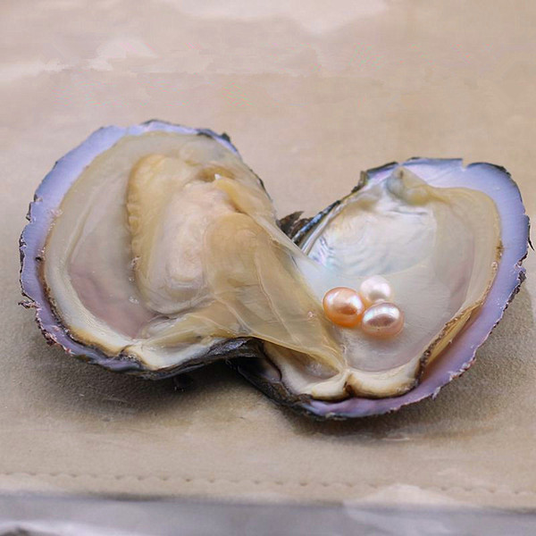 Oval Akoya Pearl Oyster White Pink Purple 7-8mm Natural Pearl DIY Pearl Loose Decorations Jewelry Vacuum Packaging Wholesale