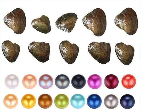 Fancy Gift Akoya pearl cheap love freshwater shell pearl oyster 6-7mm pearl oyster with vacuum packaging 31colors