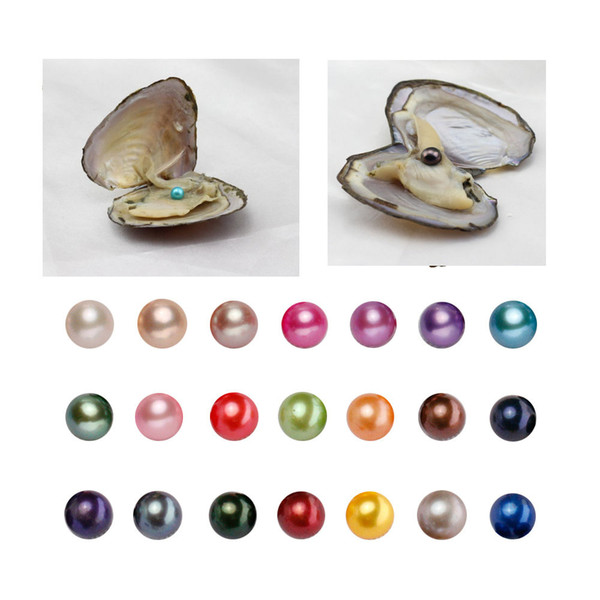 MIX 25 COLORS Freshwater Round Pearl with Oyster Shell 6-7mm Pearls in Oyster single, Pearls Oysters DIY Jewelry making