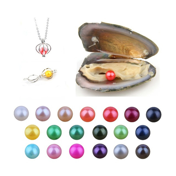 Akoya Pearl Oyster 2018 DIY Round 25 mix Colors Freshwater natural Cultured in Fresh Oyster Pearl Mussel Farm Supply Free Shipping wholesale