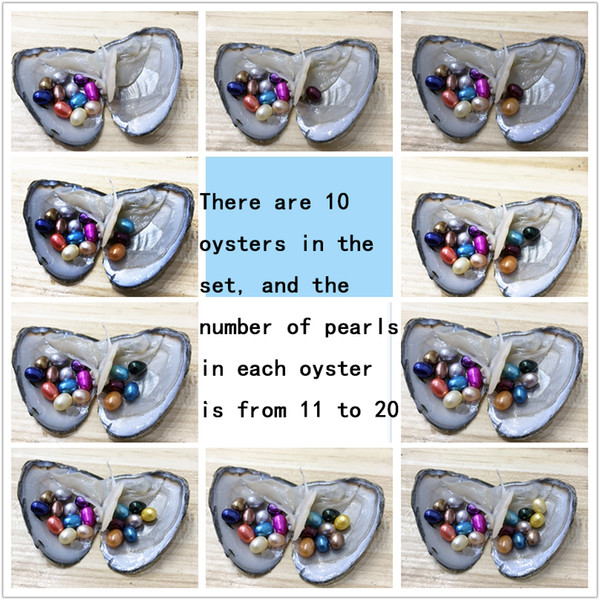 NEW Mix Set 10 PCS Lot Freshwater Oysters With 155 6-8mm Rice Oval Colourful Pearls For Gift With Individually Vacuum Packing Free Shipping