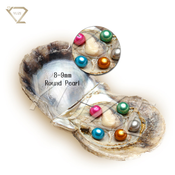 Yuze factory pearl natural Akoya sea pearl oyster shells multi mixed 5 color pearl oysters wholesale