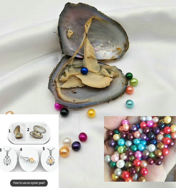 Beautiful Freshwater Round Pearl with Oyster Shell 6-7mm Pearls in Oyster One Pearls Oysters DIY Jewelry making