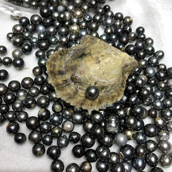 50PCS New 10-13mm Round Akoya Tahiti Pearl Seawater Oyster Black Color For DIY Bracelet Necklace Ring Holiday Gift Free Shipping