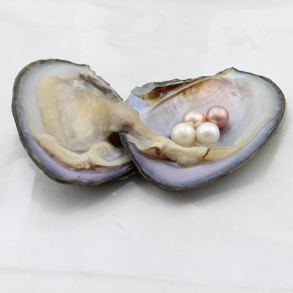 Round Akoya Pearl Oyster White Pink Purple 6-8mm Natural Pearl DIY Pearl Jewelry Loose Decorations Vacuum Packaging