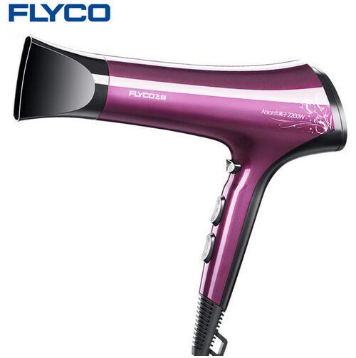 FLYCO New Professional Hot and Cold Wind Blow Dryer 2200W Hair Dryer for Salon Thermostatic Styling Tools Household 220V FH6273