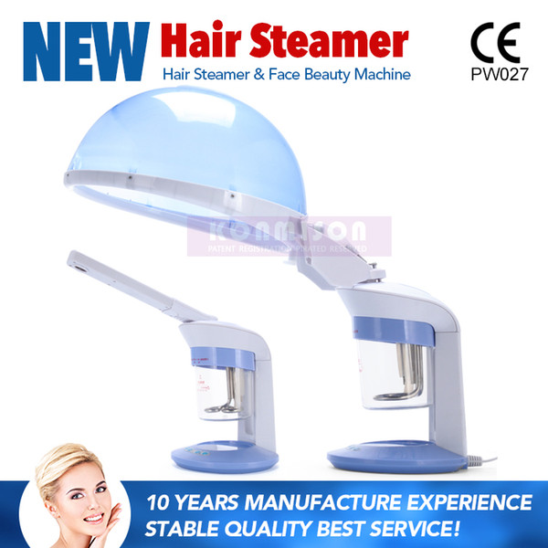 2 In 1 Home Use Hair Steamer With Facial Steamer Hot Steamer Salon Ozone DHL 