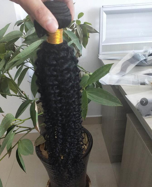 8A Factory Wholesale Brazilian Hair 8A Kinky Curl Indian Hair Bundles with closure Malaysian Cambodian Peruvian Virgin Hair 