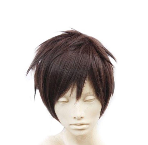 100% New High Quality Fashion Picture full lace wigs Short Men/Male's Brown Short Straight Anime Fashion Cosplay Party Full Hair Wig