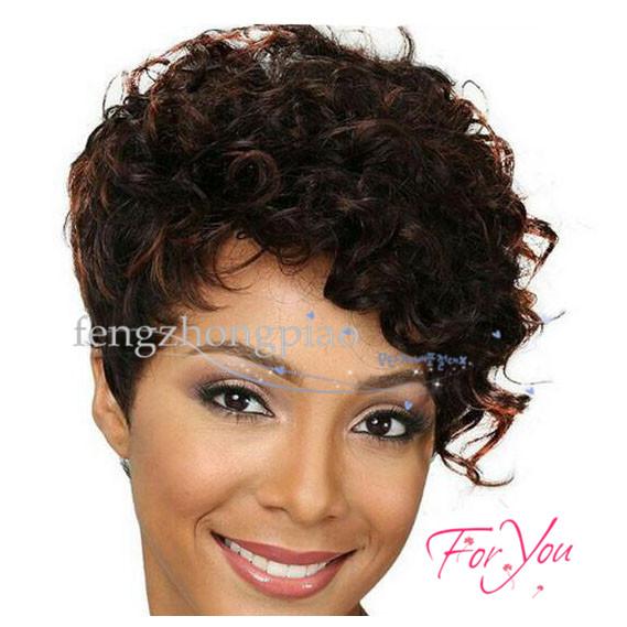 FZP Fashion Simulation Human Hair Wigs Brown Beauty Short Curly Wig For Black Women In Stock Afro Kinky Curly Wigs