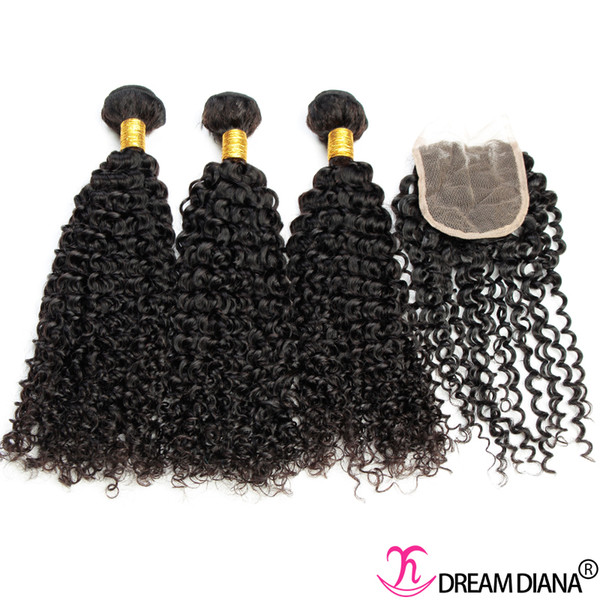 Unprocessed Human Hair Bundles Kinky Curly Brazilian Virgin Hair Bundles With Closure Human Hair Extensions Dream Diana