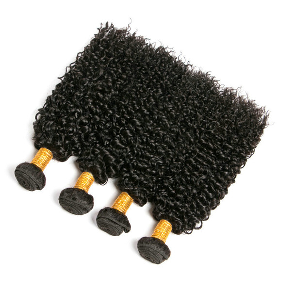 Fulgent Sun Kinky Curly Extension Mongolian Hair Bundles 100%Virgin Human Hair Weave bundles 100g/piece double weft