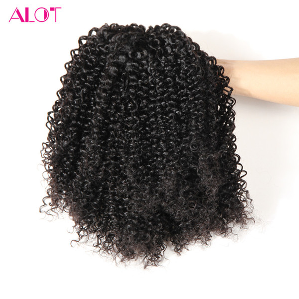 ALOT Kinky Curly Hair 10 Bundles Brazilian Peruvian Malaysian Indian Virgin Curly Hair Bulk 100% Unprocessed Human Hair Bundles 10-24inch