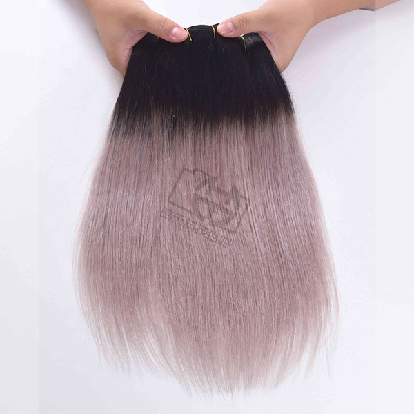 1B /Light Grey Two Tone Hair Bundles Brazilian Straight Hair Peruvian Brazilian Indian Straight Human Hair Extensions