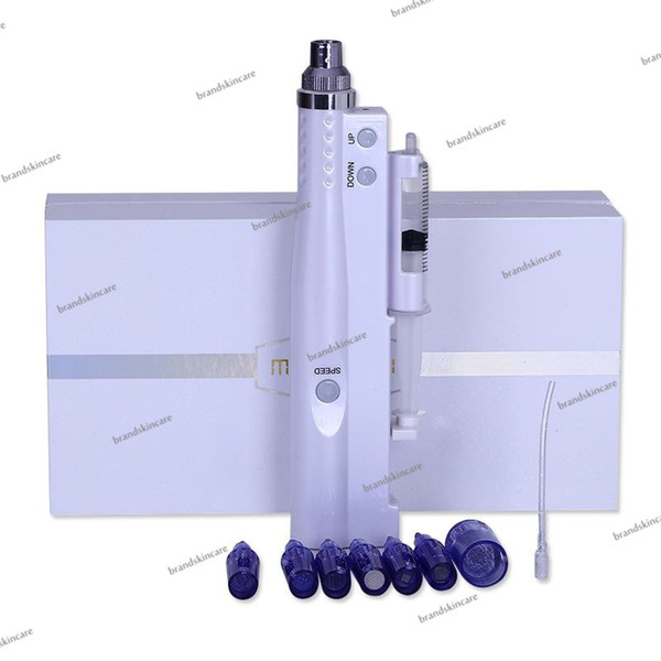 Free Shipping Home And Salon Use 2 IN 1 Electric Microneedling Auto Mesotherapy Injection Gun Nano Needle Derma Pen