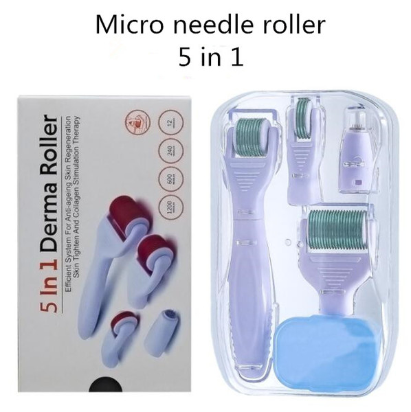 DHL-5 in 1 Beauty Equipment Beauty Roller Microneedle Light Wrinkle Body Care Repair Hyaluronic Acid Hydrating Introduction