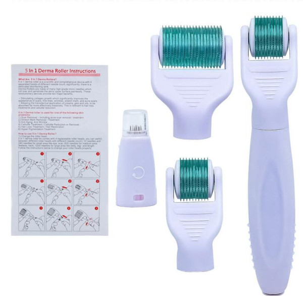 5 in 1 Beauty Equipment Beauty Roller Microneedle Light Wrinkle Body Care Repair Hyaluronic Acid Hydrating Introduction