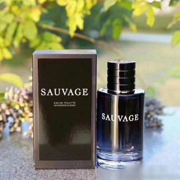 Fresh water wilderness men's fragrance 100ml Perfume Deodorant Long lasting Fruity Fragrance Parfum Eau de Toilette Spray Incense Scent