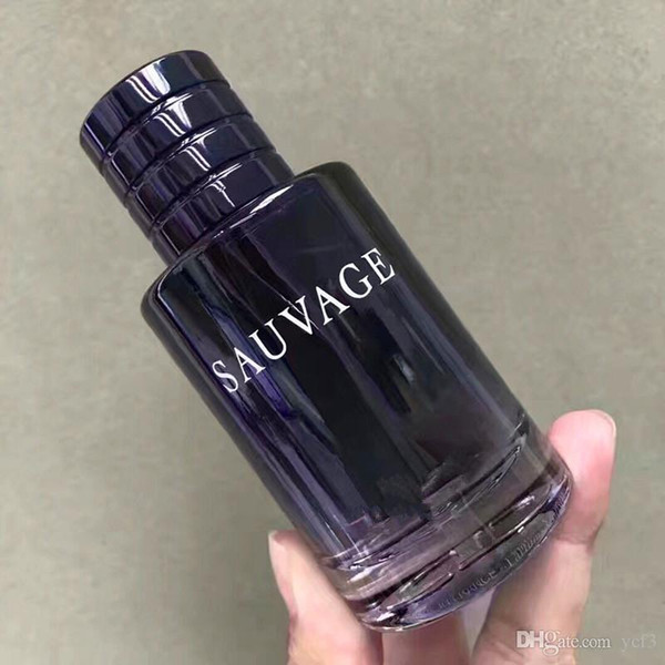 Fresh water wilderness men's fragrance 100ml Perfume Deodorant Long lasting Fruity Fragrance Parfum Eau de Toilette Spray Incense Scent