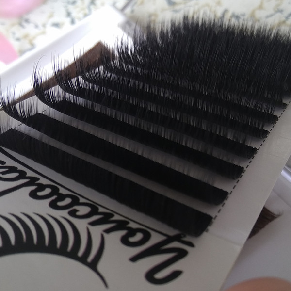 Smart Camellia Lashes 3D-6D Volume Eyelash Extensions Mixed Lash Pandora Eyelash Youcoolash Factory Big Volume Fans Promotion