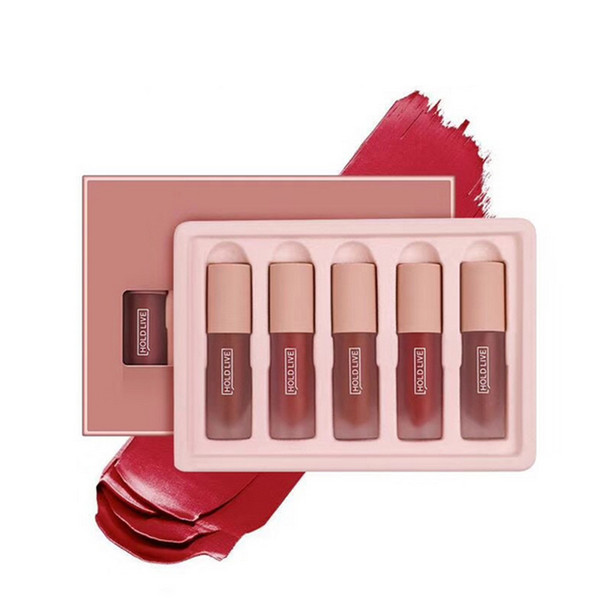 HOLD LIVE Makeup Set Liquid Lipstick 5colors Matte Lip Gloss Set Box 5 pcs Set Lipgloss For Women