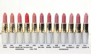 DHL Fast Shipping! Hot Selling RIAH CAREY MATTE LIPSTICK Beauty Lipstick Collection English Name colors With Silver box 12 color