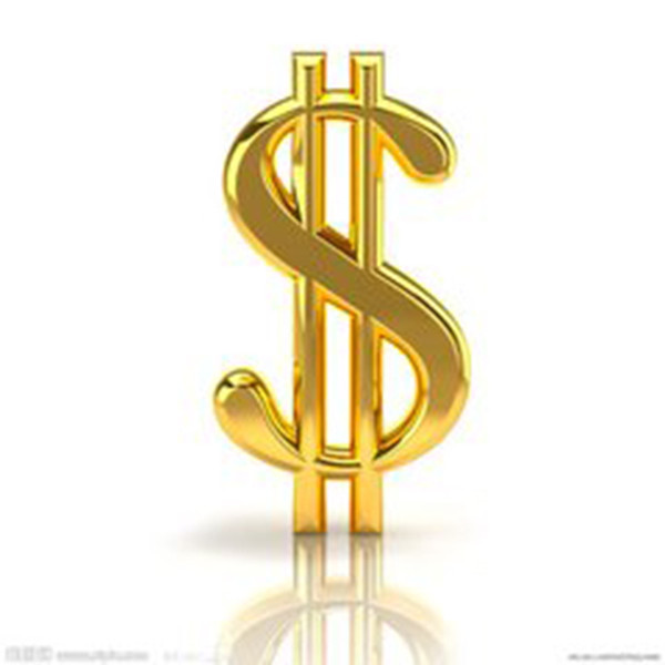 Purchase payment link Here can not order This is just a payment link Please understand it is just a link to pay