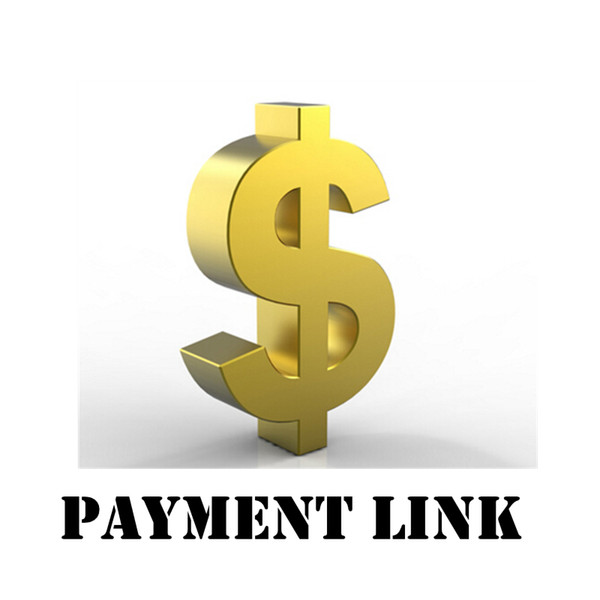 Special Link for payment Fast shipping from amazestore