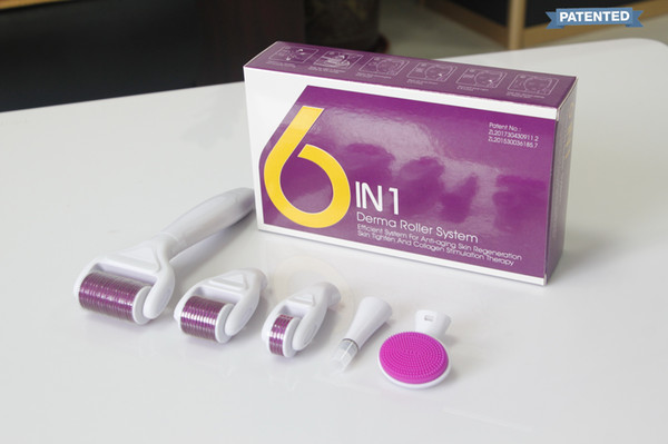 New Design 6 in 1 derma roller 12/300/720/1200 needles micro needle therapy derma roller