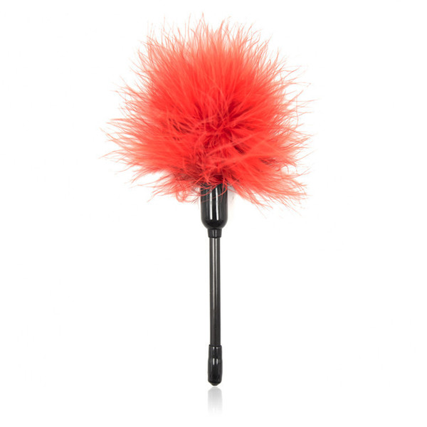 10pcs/lot Red Feather Whip Tickler Kinky Body Fancy Spanking Whip Sex Aid Toys For Couple Sex Products Wholesale Low Price