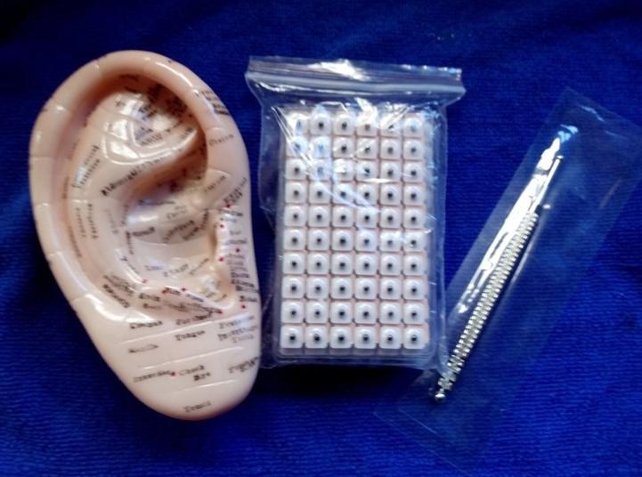 English version chinese acupuncture point pen model ear seed stickers 600pcs auricular acupoint