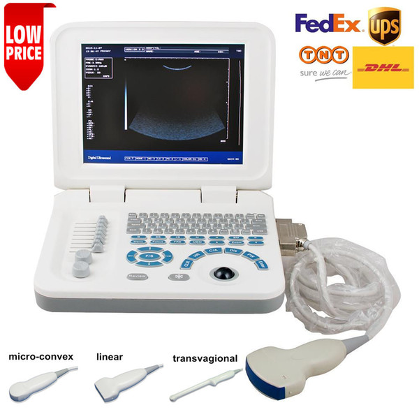 Portable Ultrasound Scanner Machine With Internal Battery And 10inch LCD Screen Echo Ultrasound, ultrasound machine, B ultrasound scanner