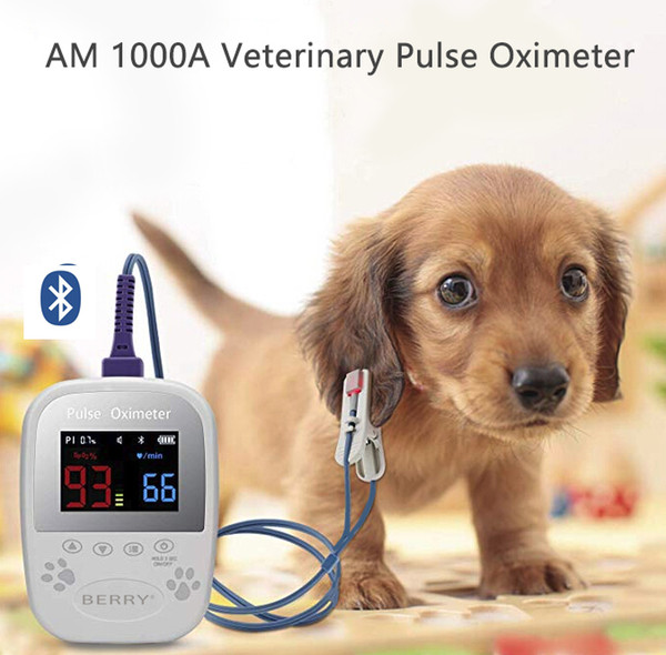 Vet Pulse Oximeter AM1000A Veterinary Handheld Pulse Oximeter oximetro pulsioximetro pulse oximeter finger portable meter digi