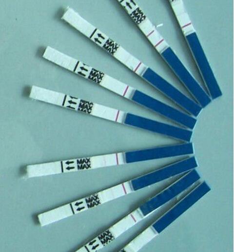 New Style THC Test Strip Home Test 100 PCS/Lot 3.0mm FDA Certificate Free Shipping Fast Express