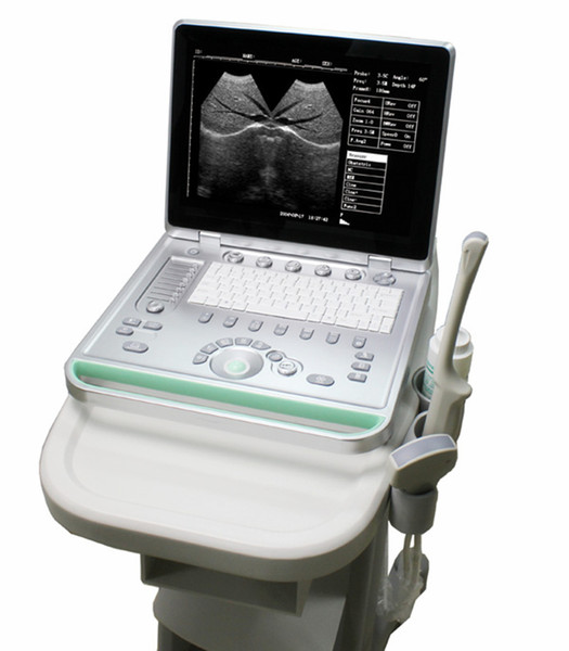 Free ship+1/2/3probes Notebook 15inch Ultrasound/Medical human sonography machine/Ultrasonic echo scanner/Advanced USG machine/CE ultrasound