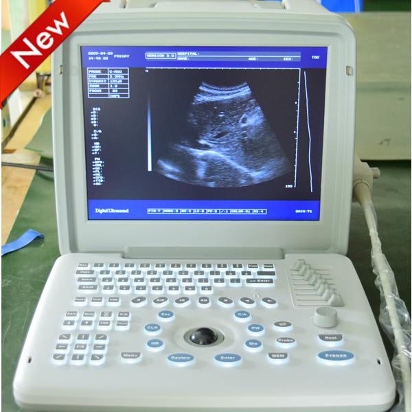 Animal 2D Ultrasonic/Veterinary 12inch Portable Ultrasound Scanner/ECHO sonography/B-ultrasonic device/CE&ISO USG machine+DHL free ship.