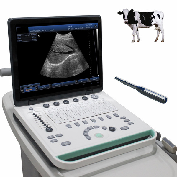 Animal/veterinary ultrasound scanner 3D software black and white 15in LCD with 3 probe pc system, ultrasound machine
