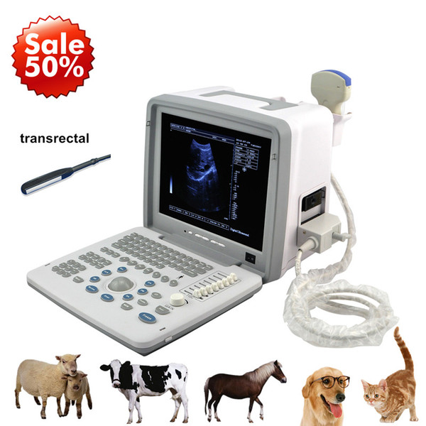USG , Pig farm laptop ultrasound scanner with 1 probes convex animal ultrasound machine, pig farming equipment, pig pregnancy ultrasound