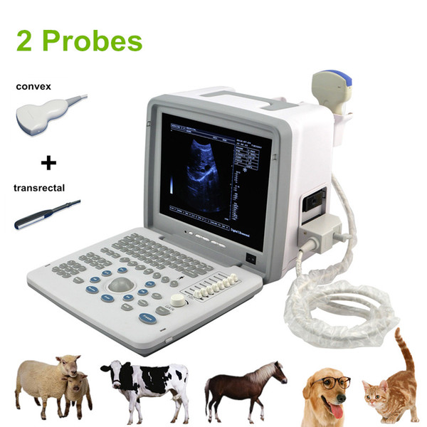 A3 VET laptop ultrasound scanner with 2 probes convex+transrectal, swine ultrasound machine, pig farming equipment, pig pregnancy ultrasound