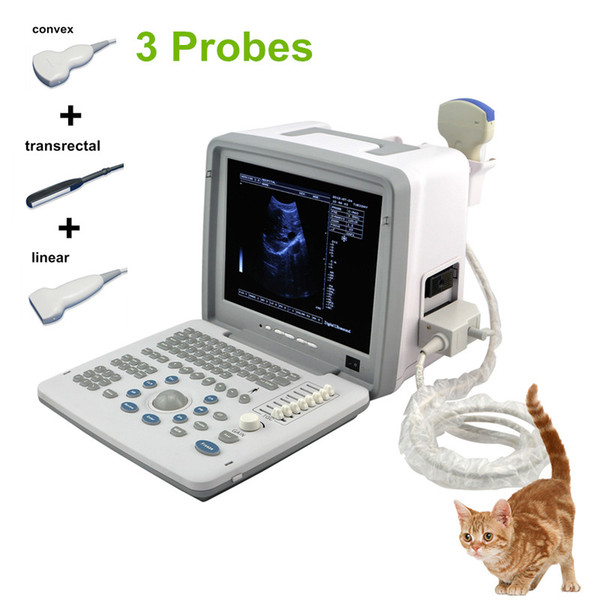 A3 VET Swine, bowine Portable ultrasound machine, veterinary ultrasound, laptop ultrasound scanner with 3 probes convex+transrectal+linear