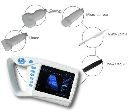 Handheld Palm Ultrasound Scanner Digital human and veterinary double software, ultrasound machine